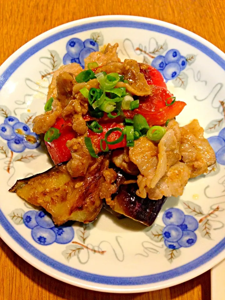 茄子と豚肉の胡麻味噌炒め|まつださんさん