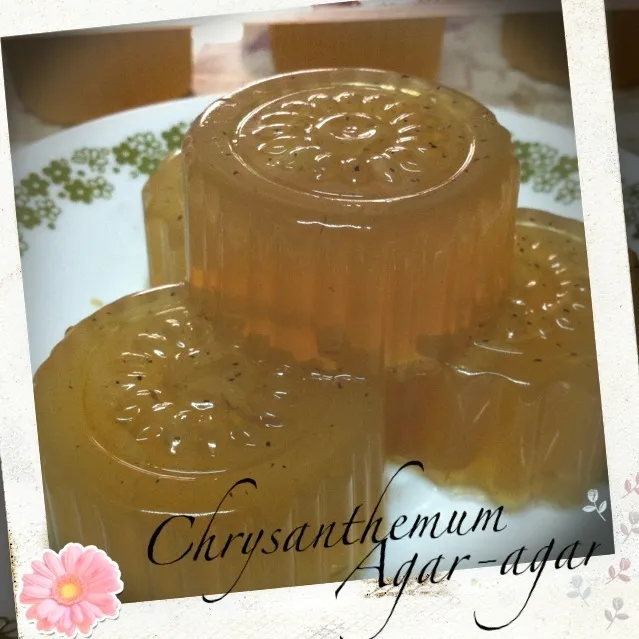 Chrysanthemum Agar-agar|LFunさん