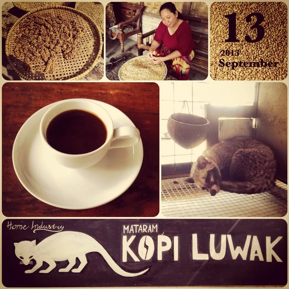 Snapdishの料理写真:KOPI(ｺｰﾋｰ) LUWAK(ｼﾞｬｺｳﾈｺ)|さと⋆さん