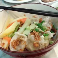 Snapdishの料理写真:Dumpling noodles|Munirah Aminさん