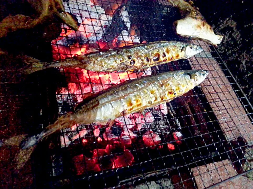 BBQ 秋刀魚|じょうさん