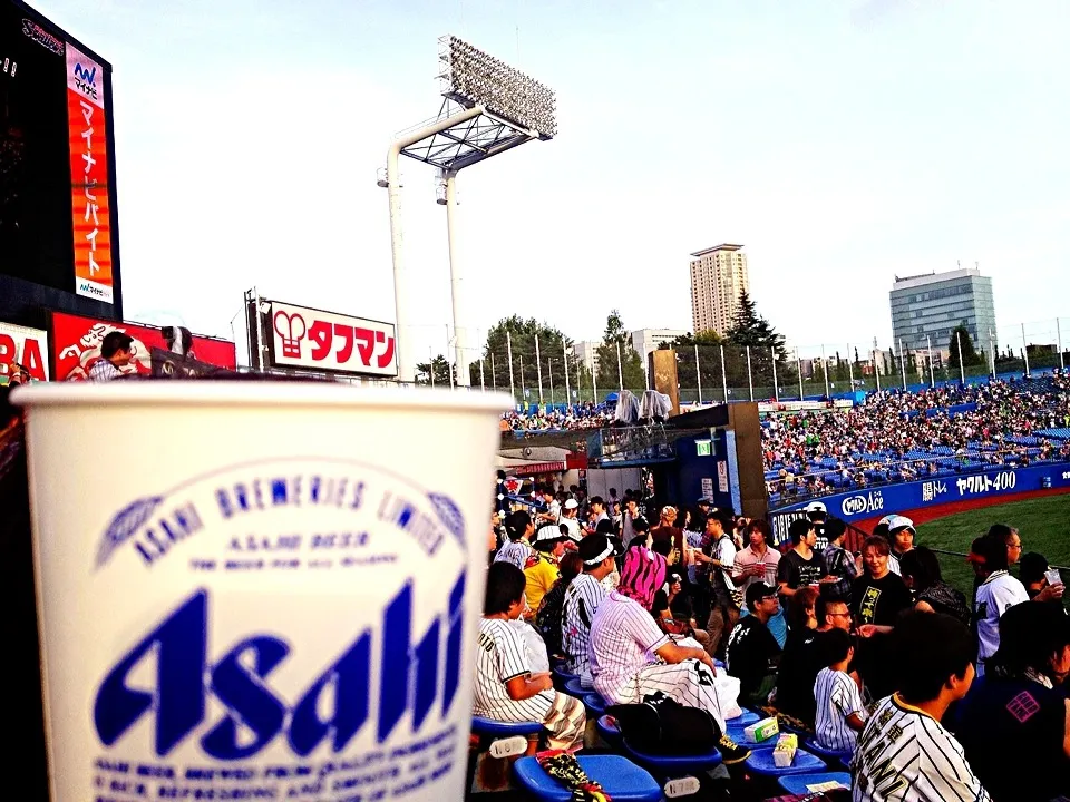 🐯🍻神宮球場で乾杯‼|としちゃんさん