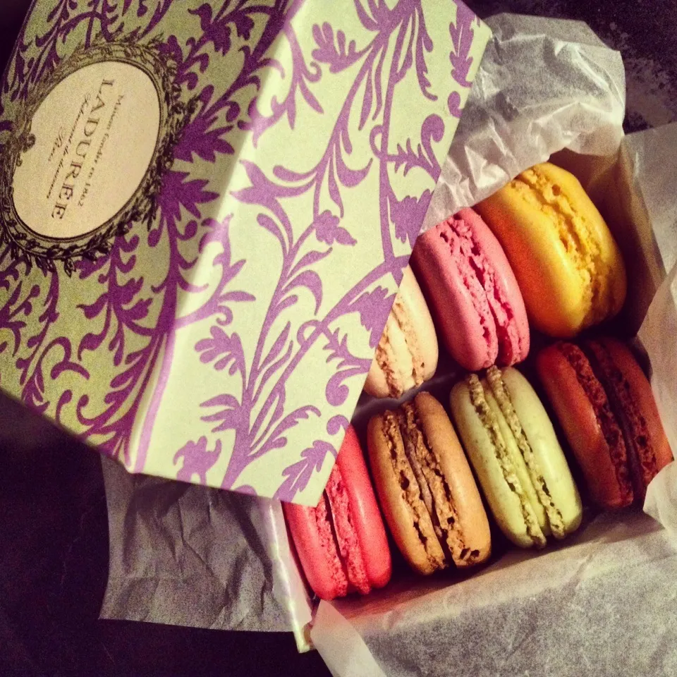 macaron #in paris#|Guさん