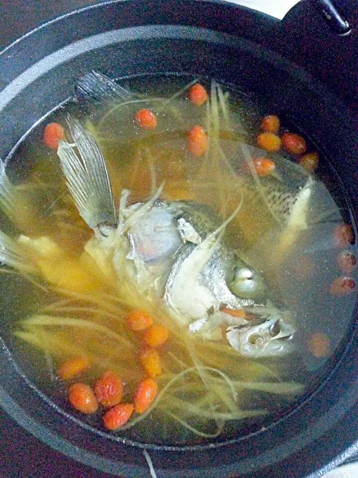 鱸魚薑絲湯|舒芙樂さん