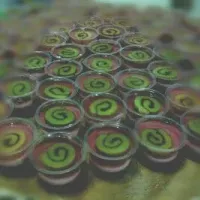 puding bolu blueberry 3lapis|Licu Widyaさん