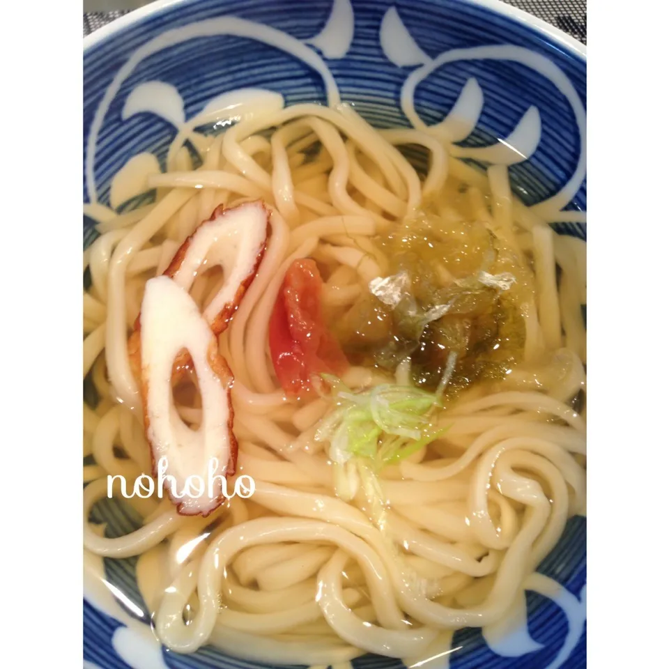 梅おぼろ昆布うどん|nohohoさん