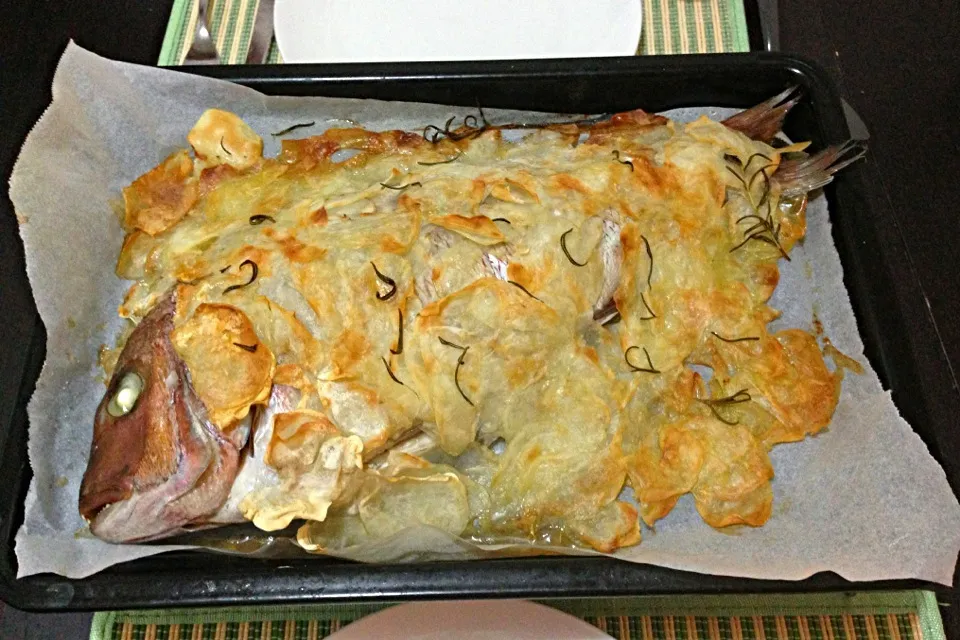 Red sea bream in potatoes crust // 真鯛じゃがいもんのクラストで|Giuseppe Granataさん