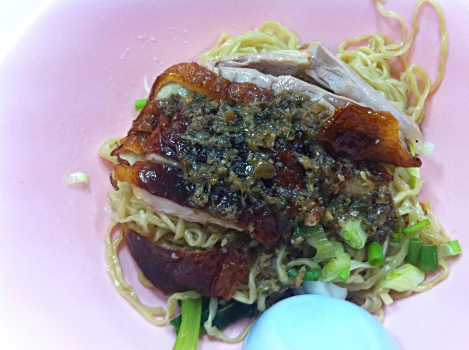 Noodle with roast duck.|M.Chotirostitiさん