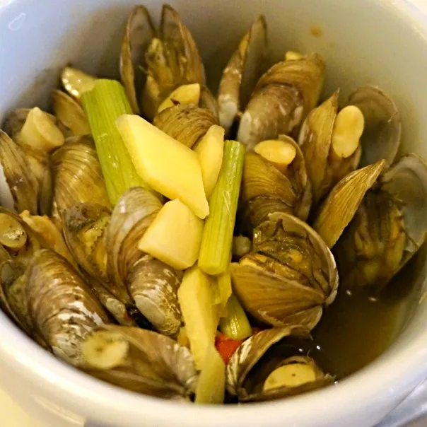 ginger steamed bamboo clams 😋|shillashinopithさん