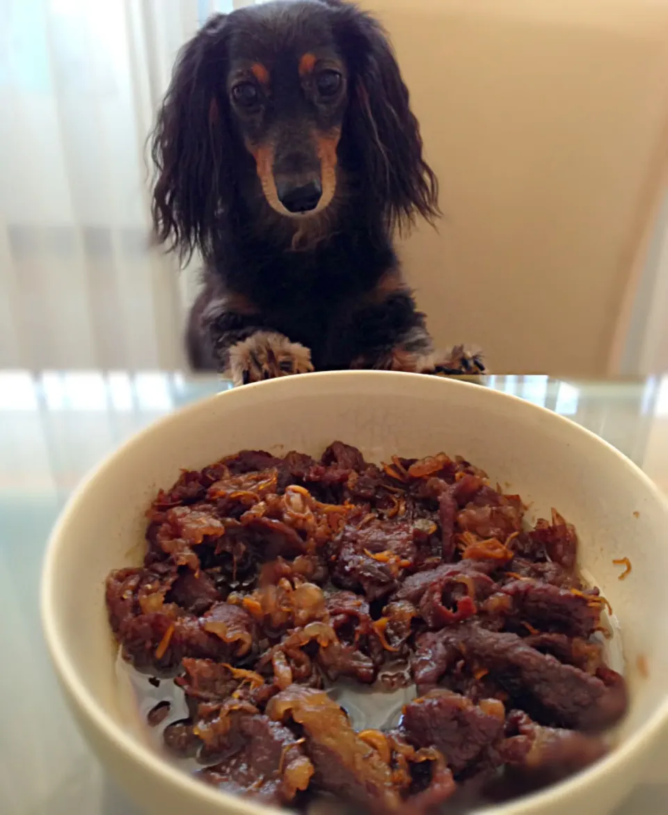 Snapdishの料理写真:いよこさんの牛肉のしぐれ煮〜にワンコも釘付け✨🐶✨|ベルさん