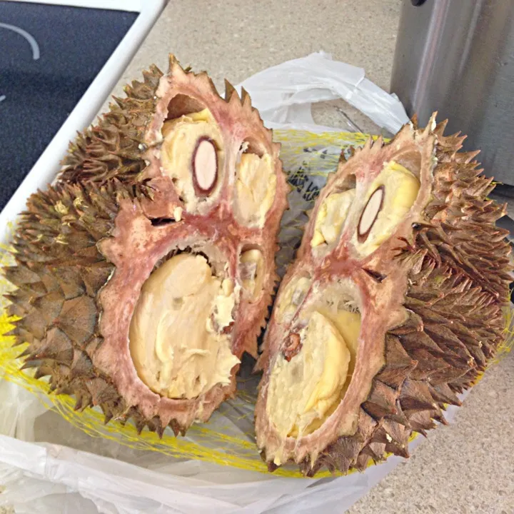 Durian|gofitlifeさん