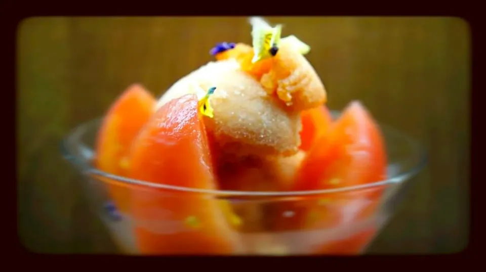 Snapdishの料理写真:Kumamoto tomato sorbet with sake jello|Mak Toniさん