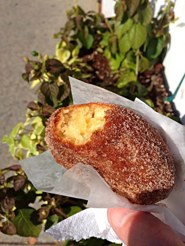 Apple cider doughnut|Dean M Rogersさん