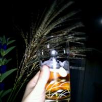 よなよな月見て