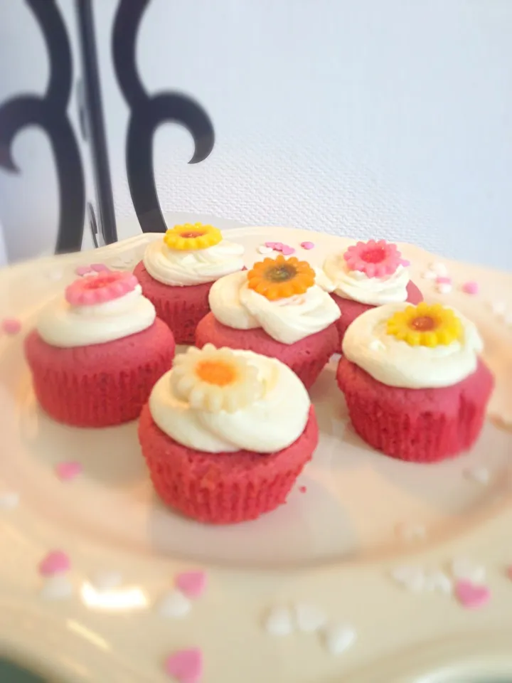 Snapdishの料理写真:Red Velvet cupcake|ももこりんさん