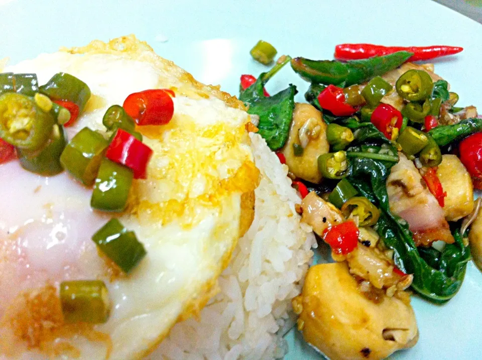 Pak pad kao moo krob (spicy stir fried crispy pork with basil) with steam rice an fried egg|Jorge Bernal Márquezさん