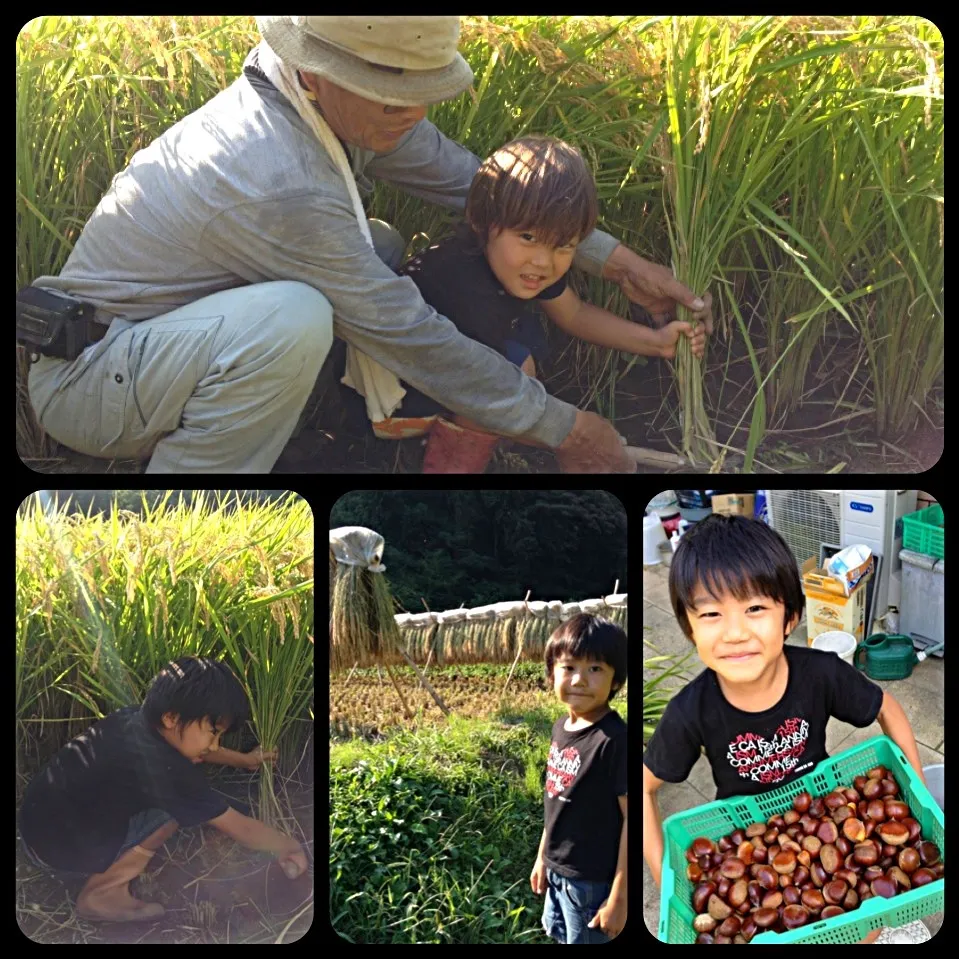 自給自足|ファンメイ🌺さん