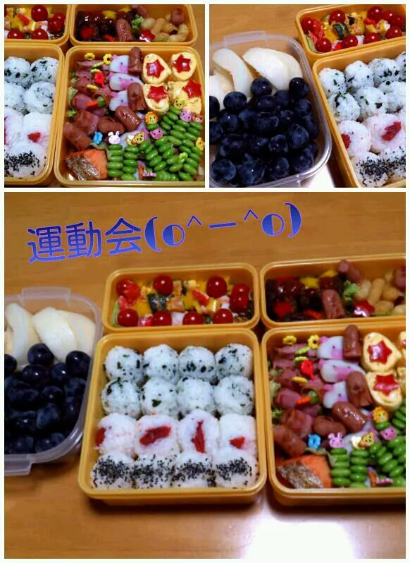 Snapdishの料理写真:運動会弁当|ふみぃさん