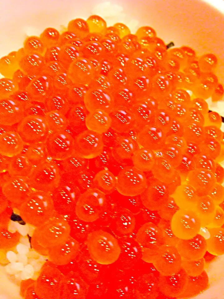 Snapdishの料理写真:salmon roe bowl😍いくらどぉん|🌈Ami🍻さん