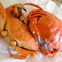 Steamed Crab|Mrs. Eさん