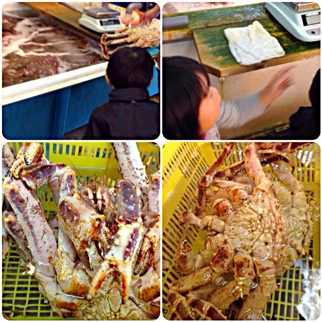 Snapdishの料理写真:King crab👑タラバァ蟹|🌈Ami🍻さん