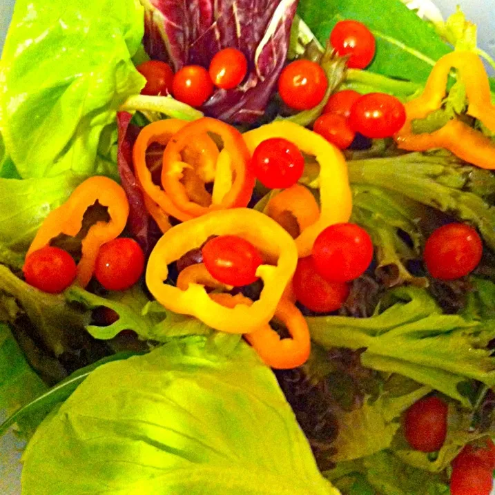 Colorful salad prepared by Viv, MY & myself!|Trish Wongさん