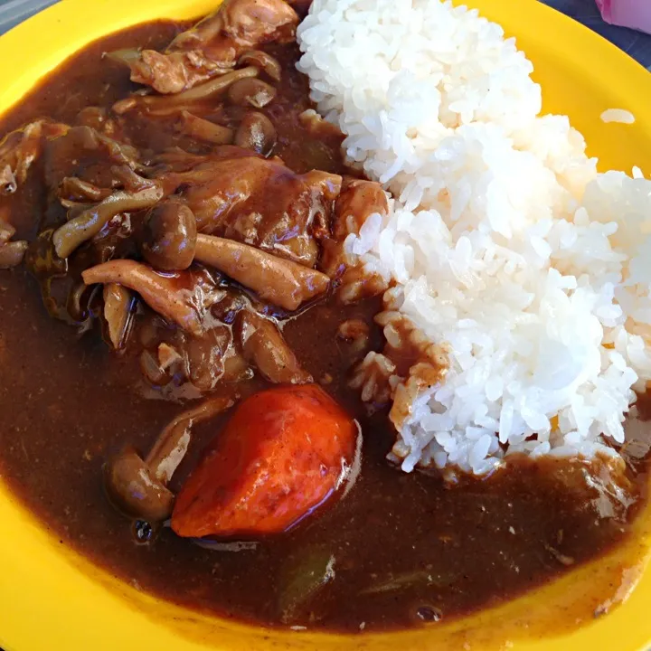 キャンプ飯。ダッチオーブンでカレー。|yukiさん