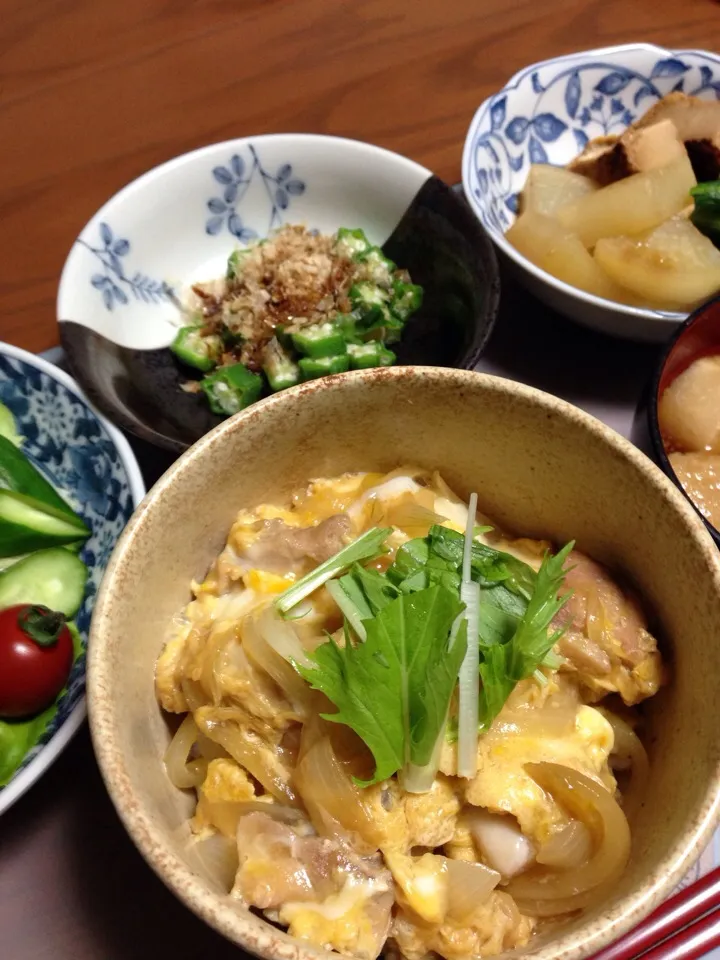 時どき無性に食べたくなる親子丼|ayakoさん