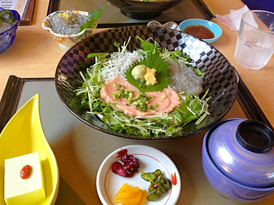 Snapdishの料理写真:生しらす三色丼|まどかさん