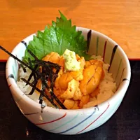 Snapdishの料理写真:とれたてウニ小丼|まどかさん