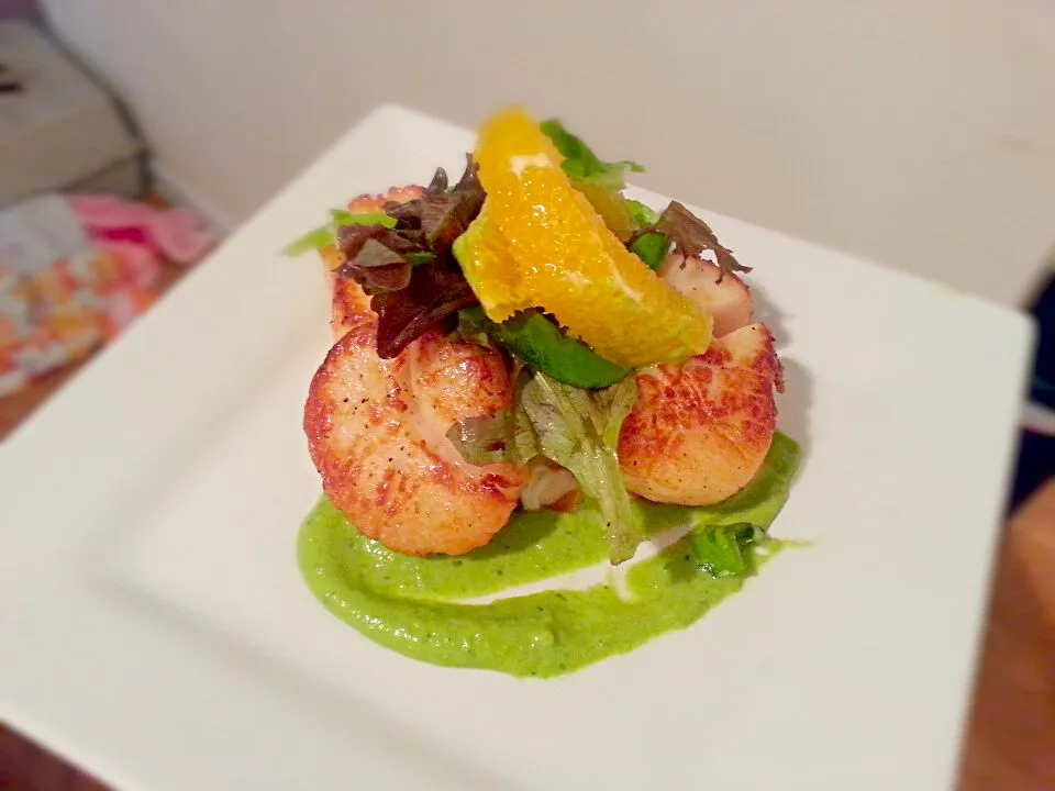 seared scallops with a fennel aioli and pea puree|jeffさん