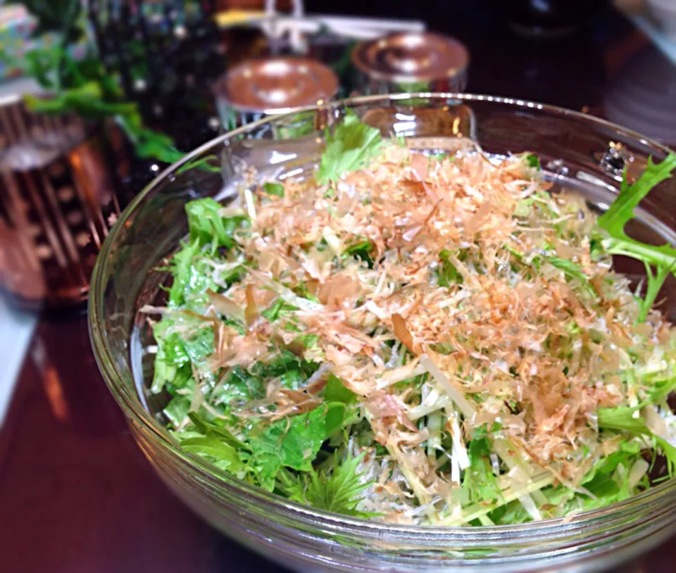 居酒屋で教えてもらった水菜のサラダ|カオサンさん