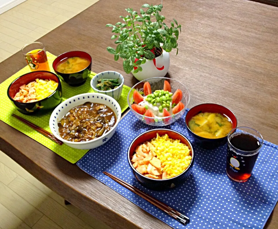 Snapdishの料理写真:鮭と卵のそぼろ丼、豚肉と茄子のとろとろ煮、オクラの胡麻和え、枝豆と大根のサラダ、じゃがいものお味噌汁|pentarouさん