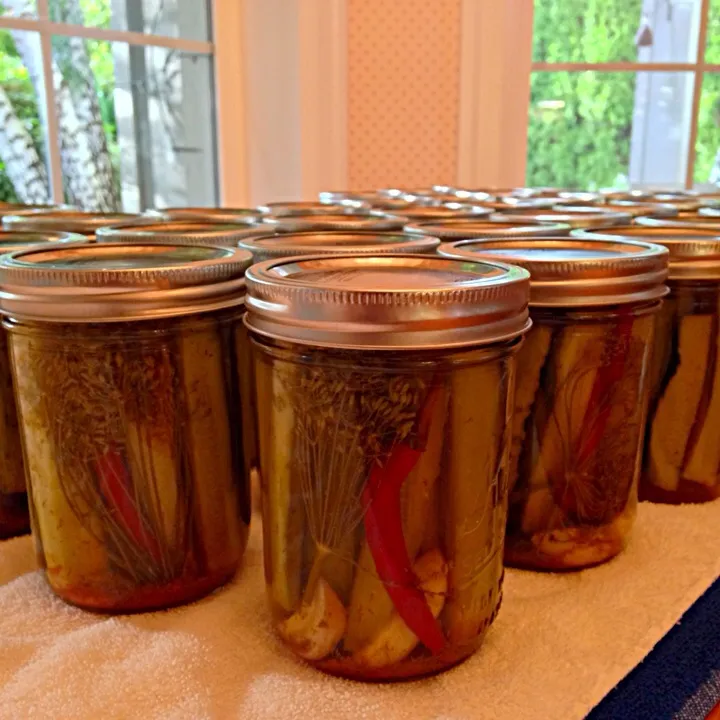 Spicy Dilly Pickles|Kathryn Hastingsさん