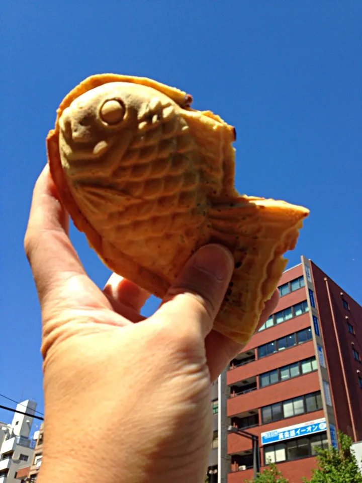 Snapdishの料理写真:青空にたい焼き！|shuさん