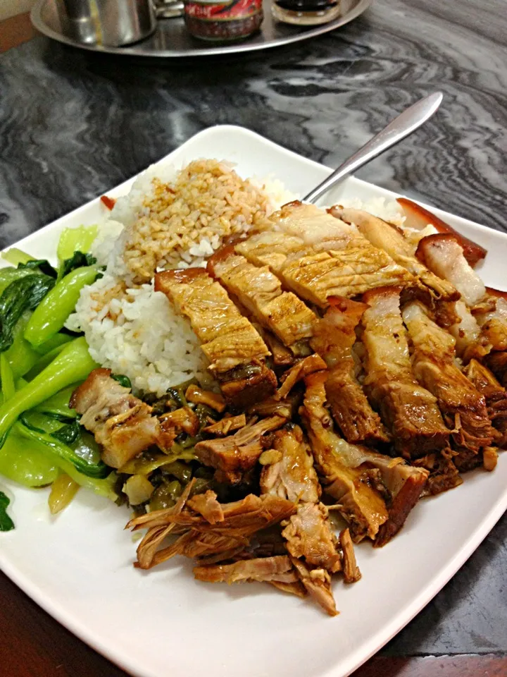 Stewed Pork Leg Rice|Queenさん