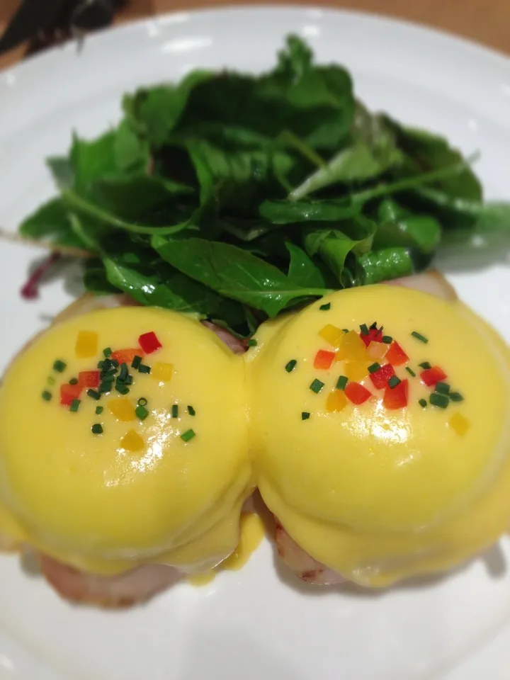 Snapdishの料理写真:Classic Eggs Benedict|Tadashiさん