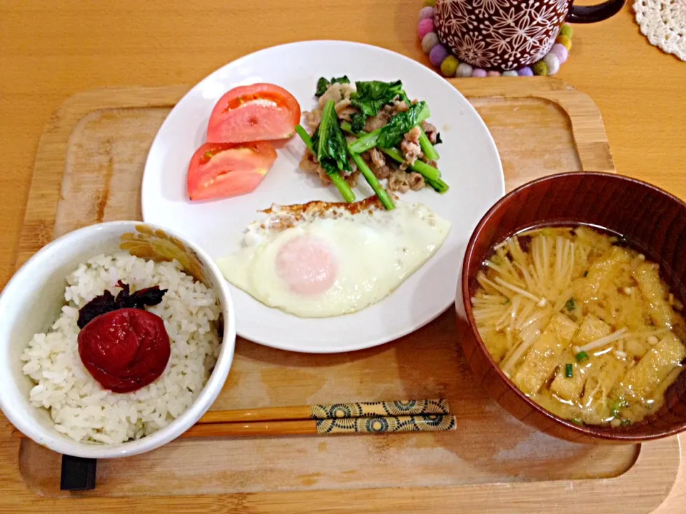 久しぶりのうちご飯|ちびくまさん