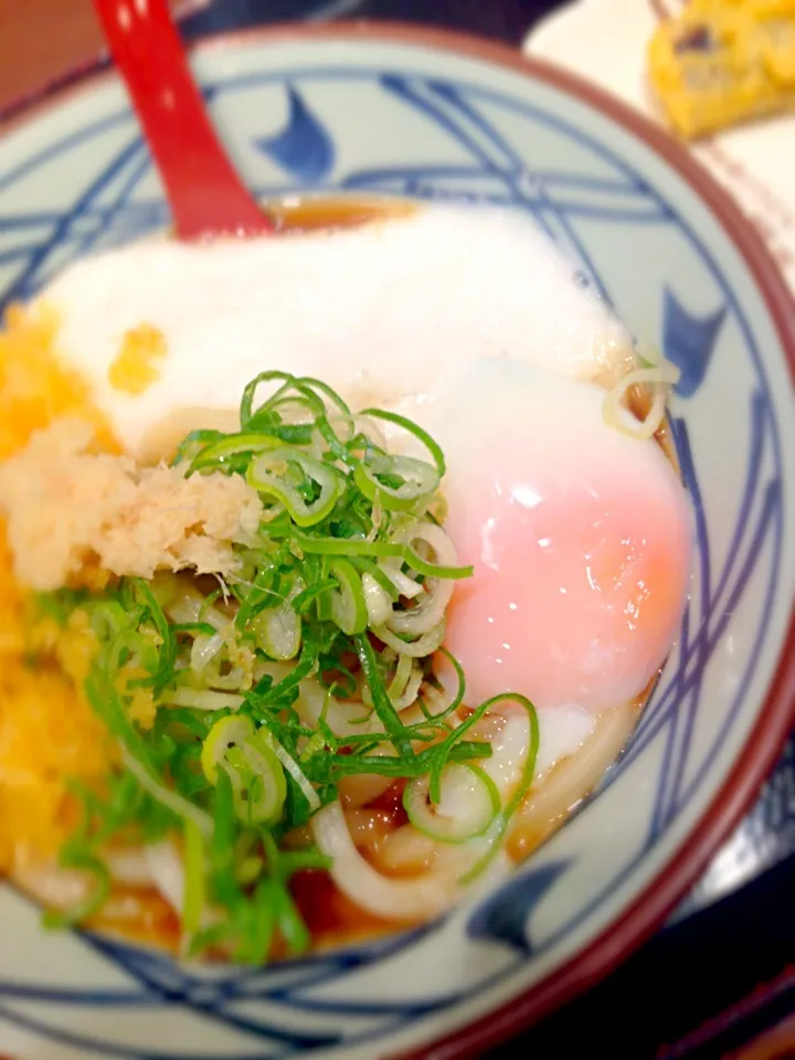 とろたまうどん|ゆっかさん