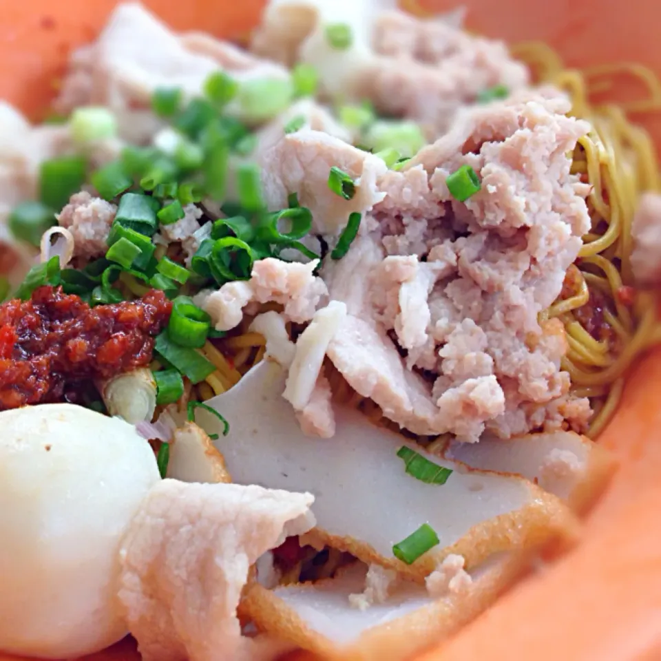 Pork & fishball Noodles|willzさん