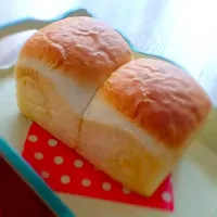 食パン🍞|かなぶんさん