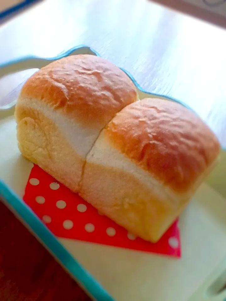 食パン🍞|かなぶんさん