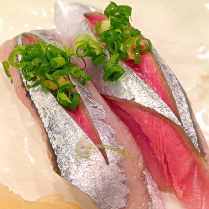 Sushi saury|do dyuさん