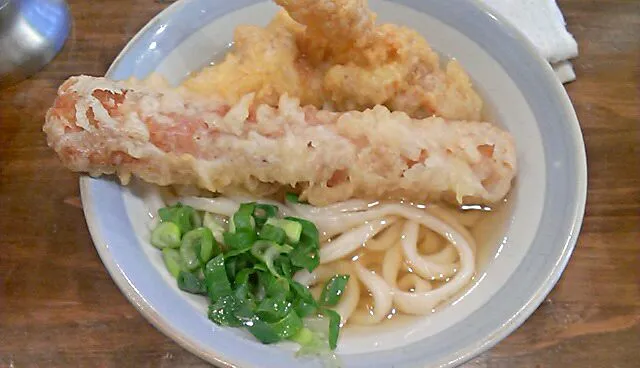 とり天&ちくわ天 かけうどん|まぐろさん