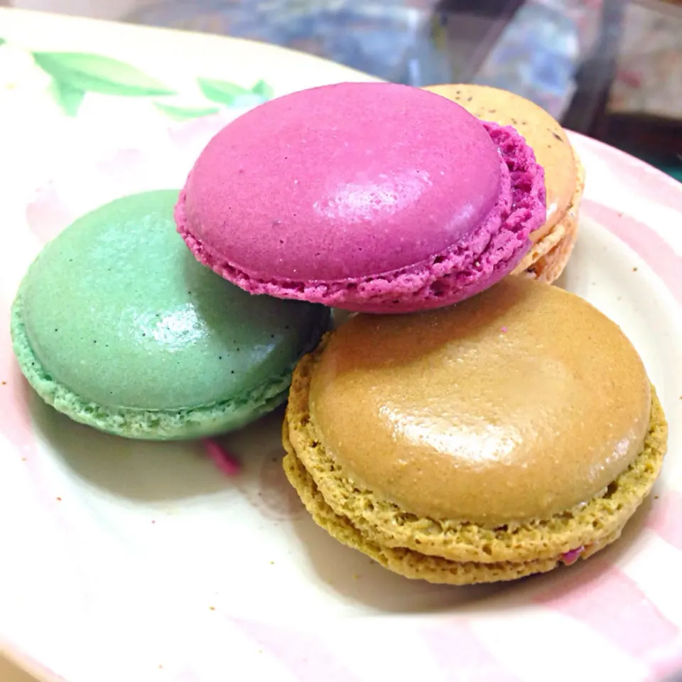 Macaron|PeonyYanさん