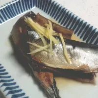 Snapdishの料理写真:秋刀魚|バブさん