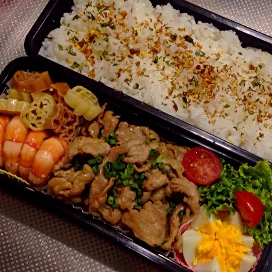 Snapdishの料理写真:お弁当|saaanyamomさん