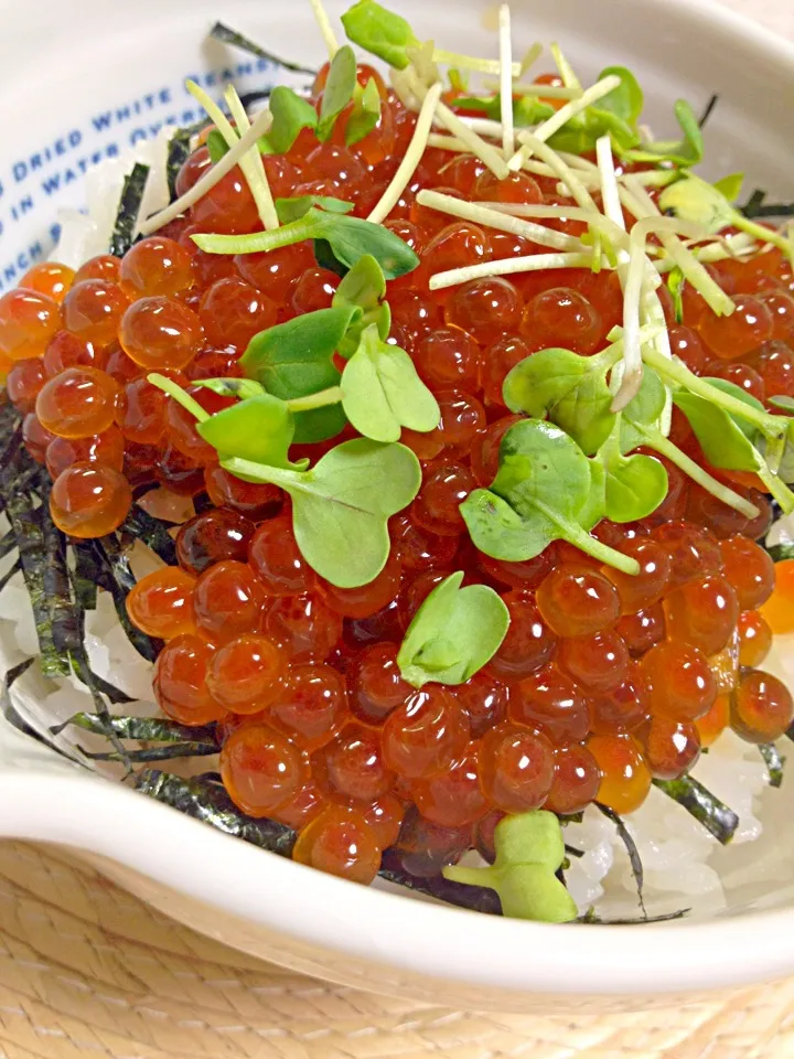 いくら丼✨自家製 いくらの醤油漬けで…|soraさん