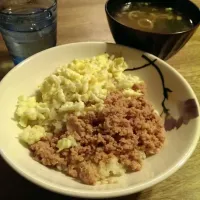 Snapdishの料理写真:晩ごはん。そぼろご飯。|fiftybellsさん