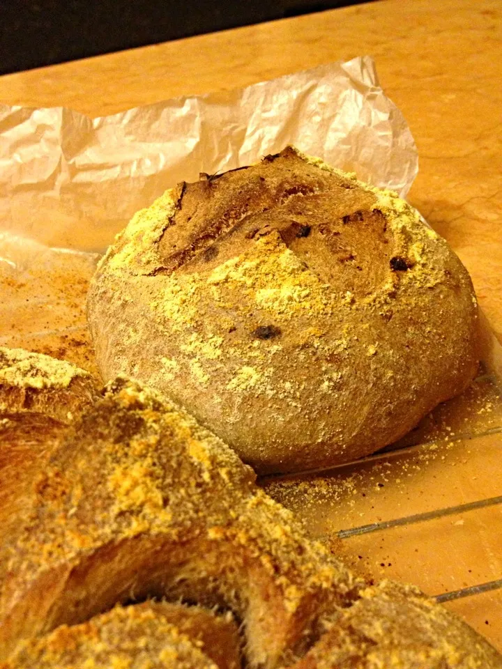 Homemade natural yeast rye bread〜自制天然葡萄酵母黑麥麵包！！！成功〜〜〜|🍞LeeLee🍞さん